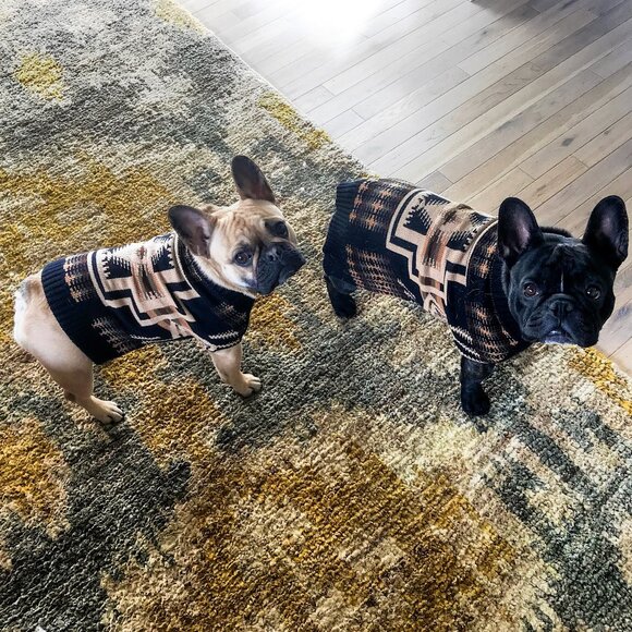 Pendleton Harding Pet Sweater Size Large - Picture 2 of 10